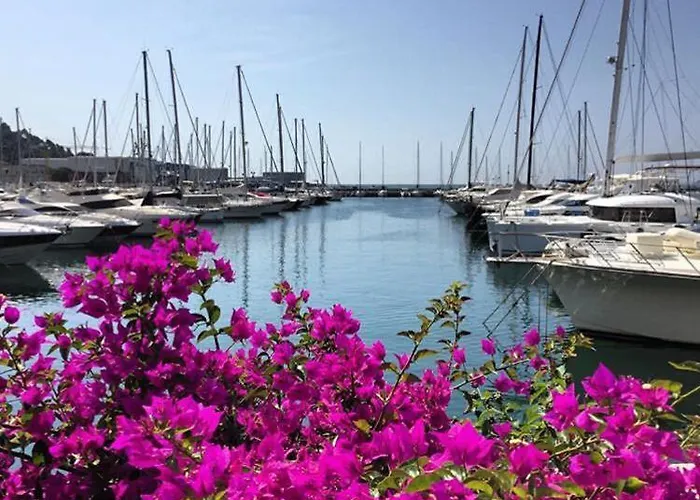 Welcome Migliarina *